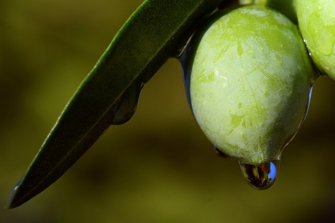 Unsere Rohstoffe: natives Olivenöl